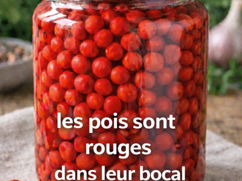 On s’marre, dis&nbsp;!